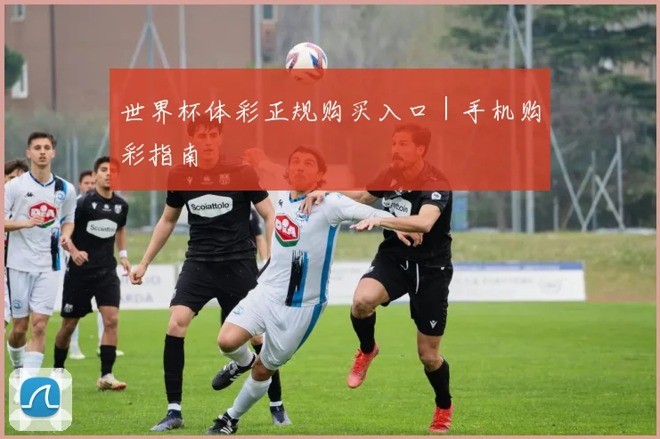 世界杯体彩正规购买入口｜手机购彩指南