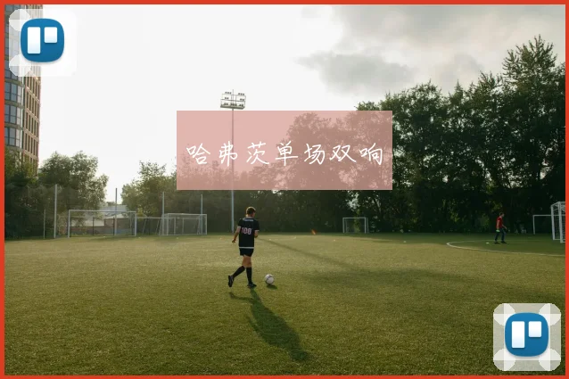 哈弗茨单场双响