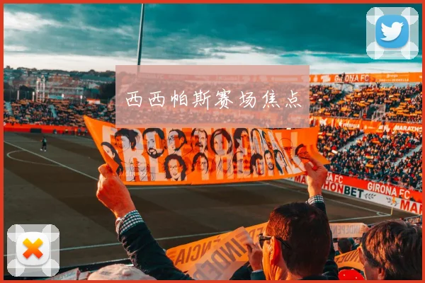 西西帕斯赛场焦点
