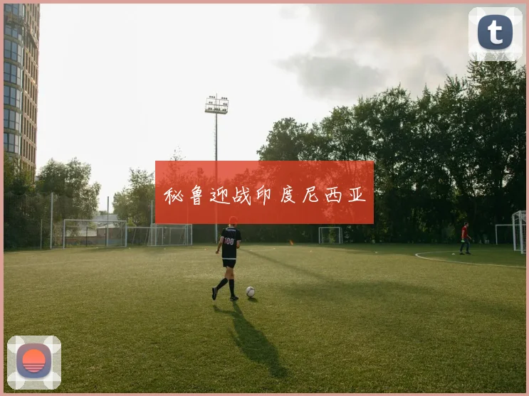 秘鲁迎战印度尼西亚