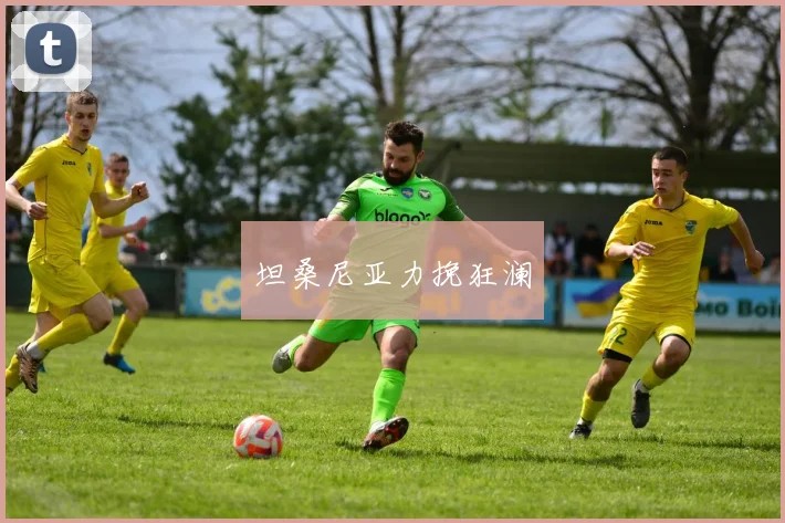 坦桑尼亚力挽狂澜