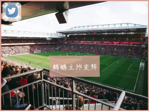 鹈鹕主帅变阵