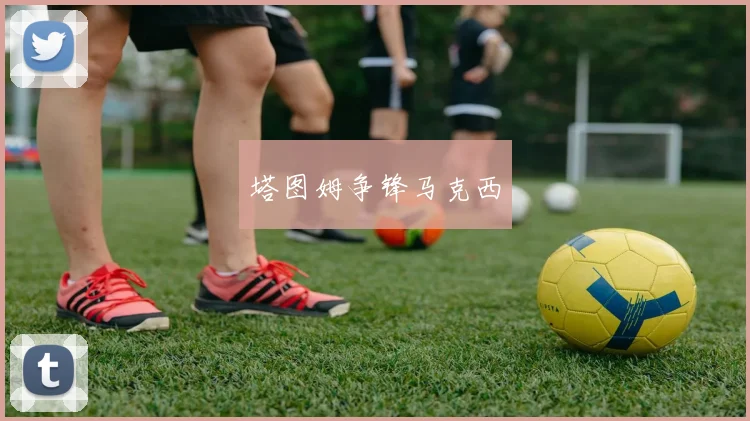 塔图姆争锋马克西