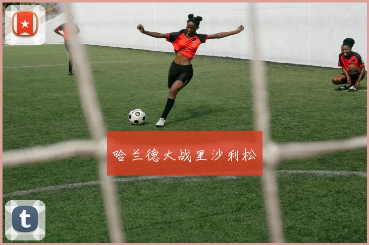 哈兰德大战里沙利松