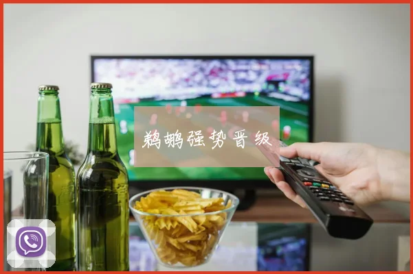 鹈鹕强势晋级