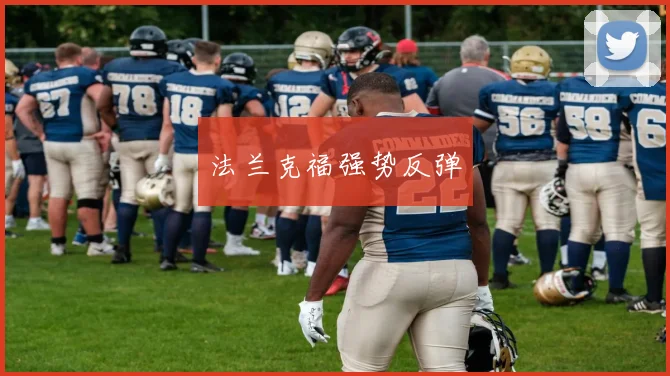 法兰克福强势反弹