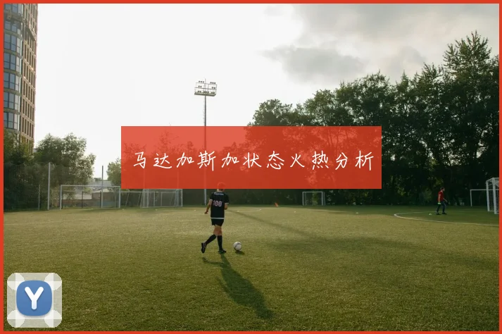 马达加斯加状态火热分析