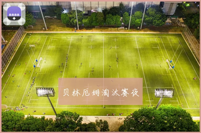贝林厄姆淘汰赛夜