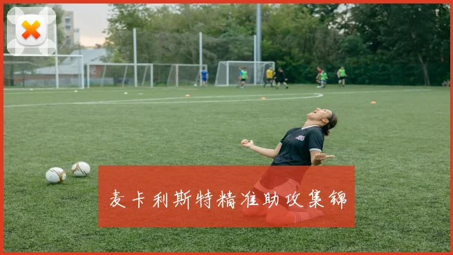 麦卡利斯特精准助攻集锦