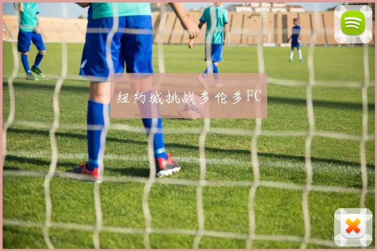 纽约城挑战多伦多FC