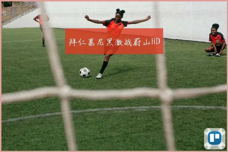 拜仁慕尼黑激战蔚山HD