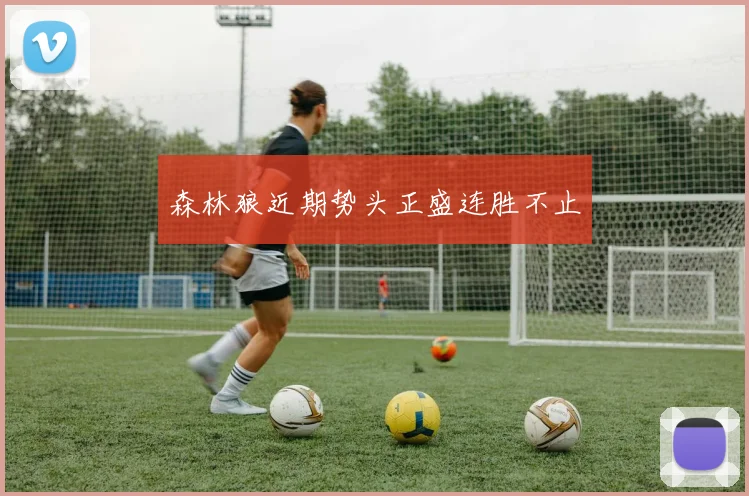 森林狼近期势头正盛连胜不止