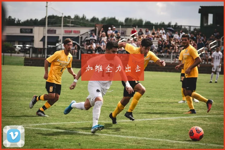 加维全力出击
