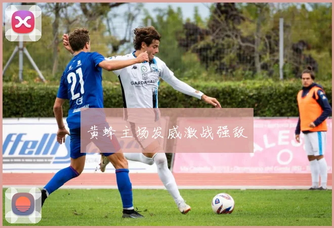 黄蜂主场发威激战强敌
