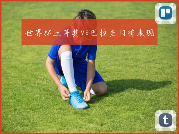 世界杯土耳其vs巴拉圭门将表现