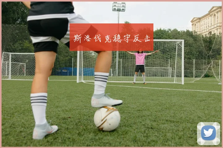 斯洛伐克稳守反击