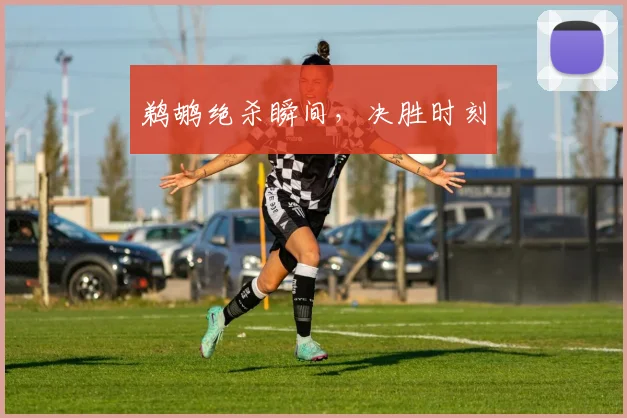 鹈鹕绝杀瞬间，决胜时刻