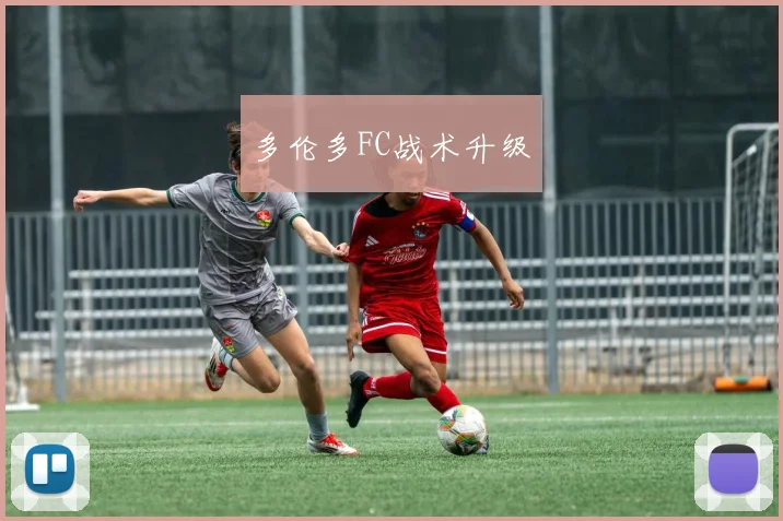 多伦多FC战术升级
