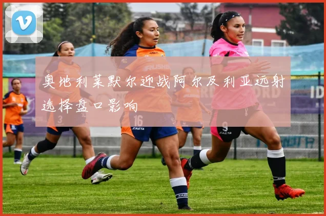 奥地利莱默尔迎战阿尔及利亚远射选择盘口影响