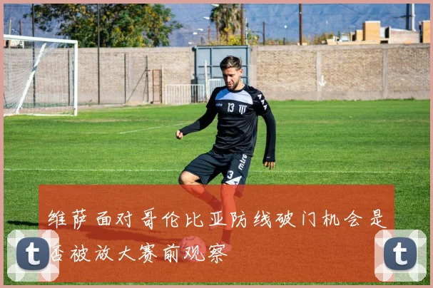 维萨面对哥伦比亚防线破门机会是否被放大赛前观察