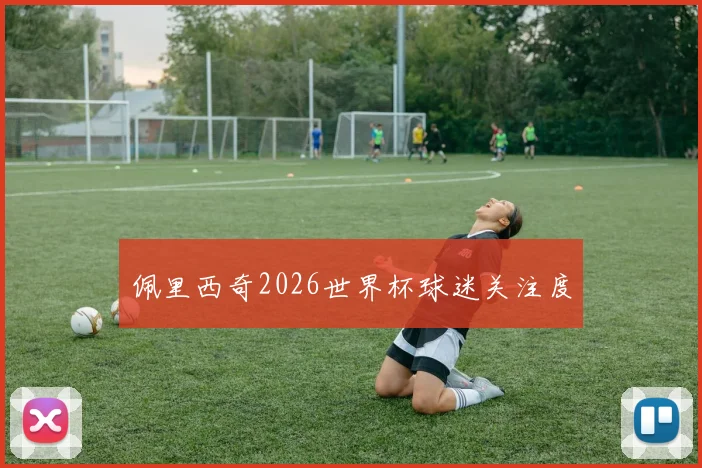 佩里西奇2026世界杯球迷关注度
