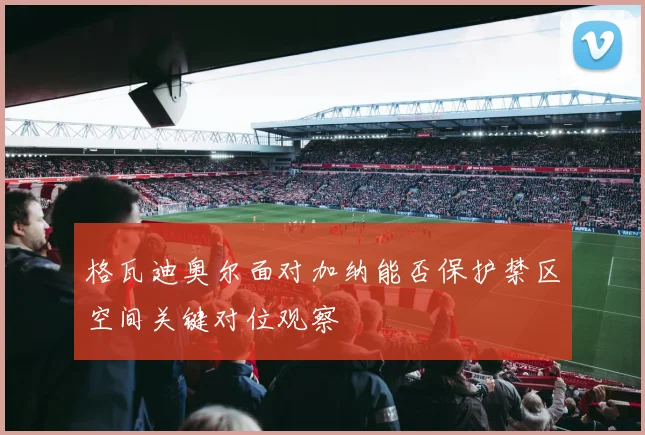格瓦迪奥尔面对加纳能否保护禁区空间关键对位观察